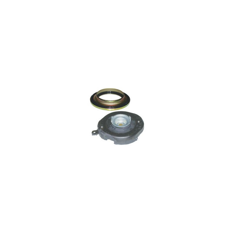 Birth Kit Sospensione Supp. Amm. + Cusc. R19-Scenic I. A 59001