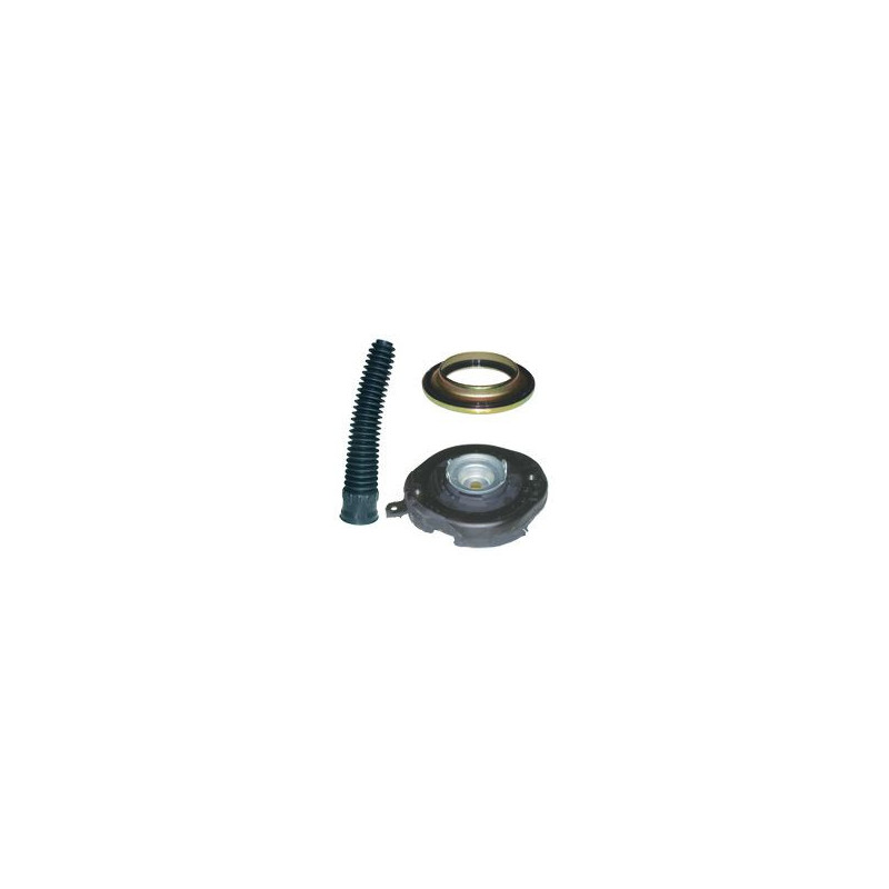 Birth Kit Sospensione Ant Dx-Sx Renault Megane I.Scenic 59120