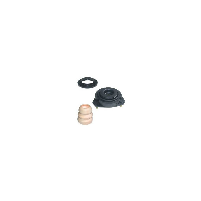 Birth Kit Sospensione Ant Dx-Sx Ford Focus (98-05) 59142