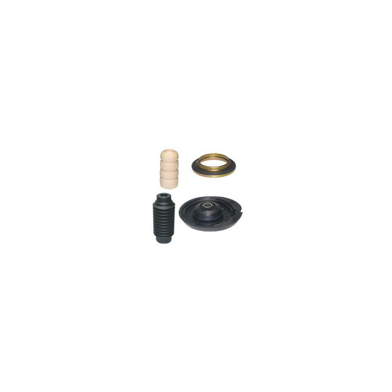 Birth Kit Sospensione Ant Dx-Sx ( Tel.10156) Citroen C2 59164