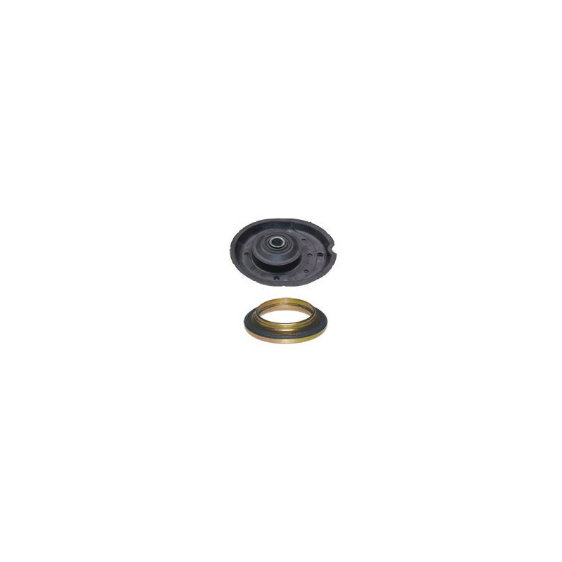 Birth Kit Sospensione Supp. Amm. + Cusc. Citroen Peugeo 59192