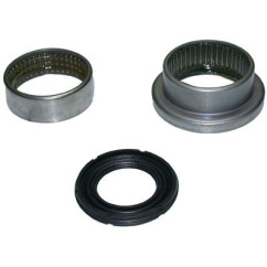 BIRT6366
