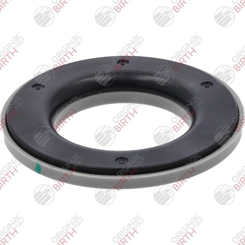 BIRTH Cuscinetto volvente, Supporto ammortizzatore 6613