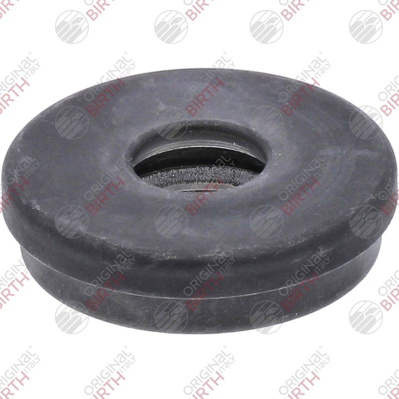 BIRTH Cuscinetto volvente, Supporto ammortizzatore 6614