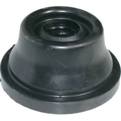 BIRT7002