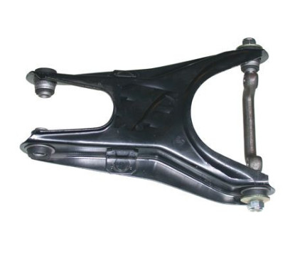 BIRTBR1006