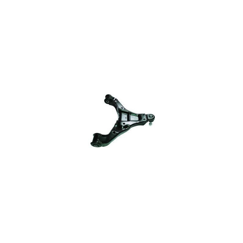 Birth Braccio Oscillante, Sospensione Ruota Br1022