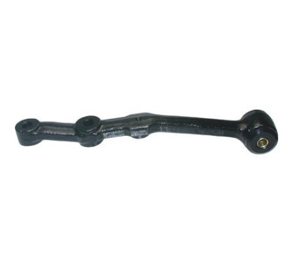 BIRTBR1101