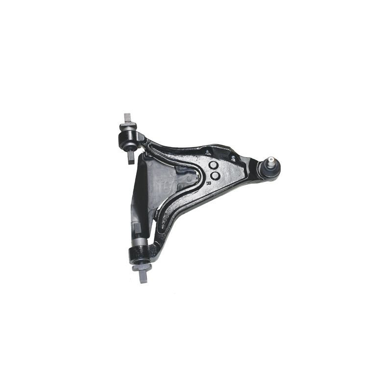 Birth Braccio Oscillante, Sospensione Ruota Br1402