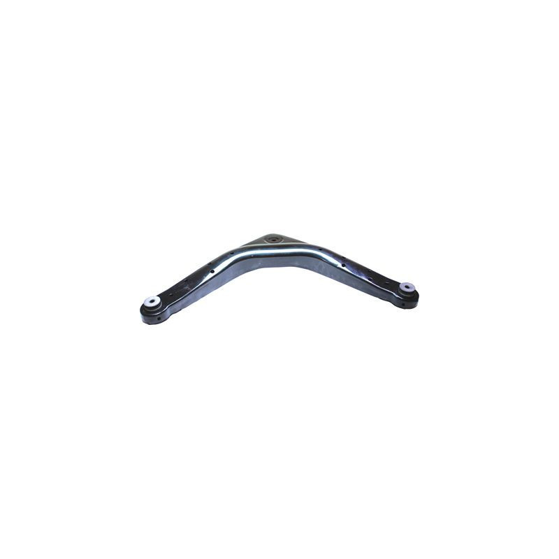 BIRTH Braccio oscillante, Sospensione ruota BR2255