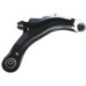 BIRTH Braccio oscillante BR2443
