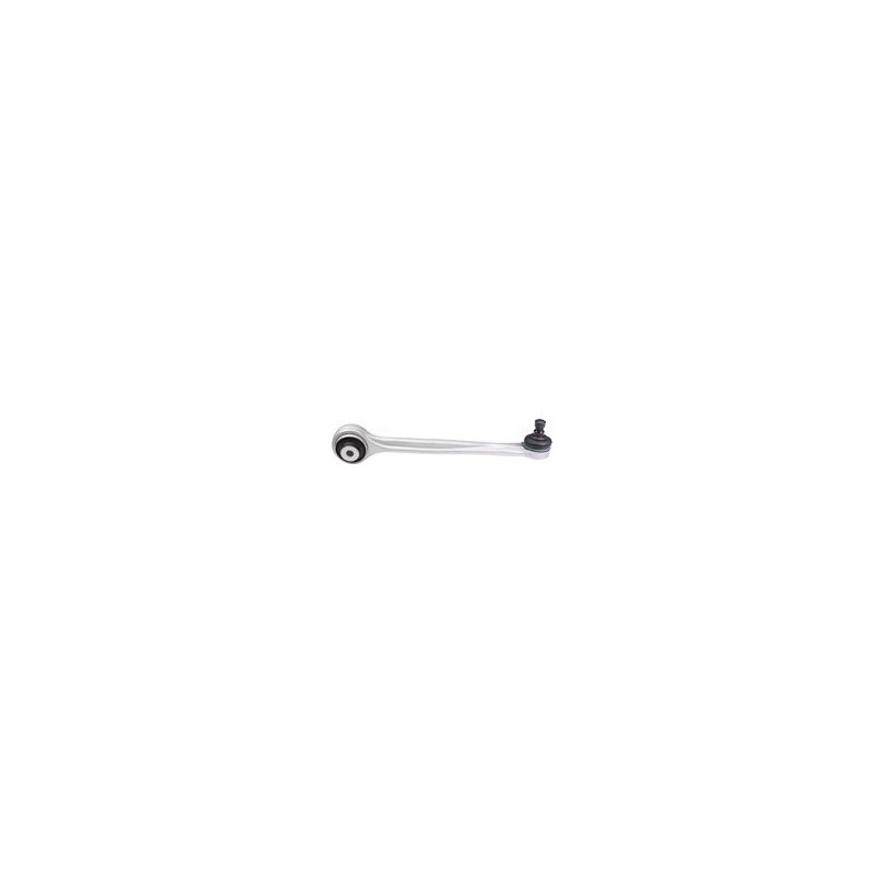 BIRTH Braccio oscillante, Sospensione ruota BR2529