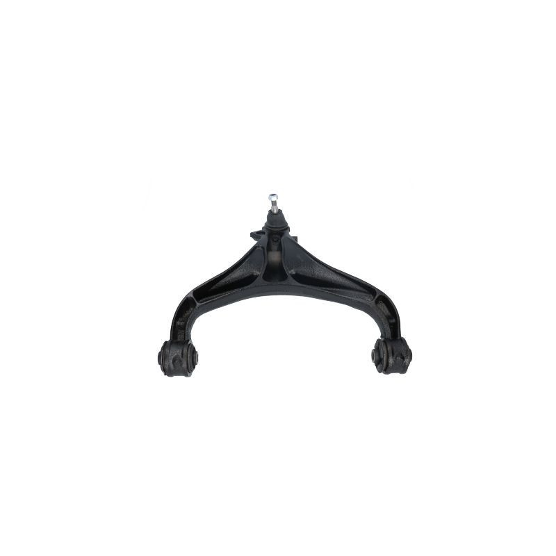 BIRTH Braccio oscillante, Sospensione ruota BR2855