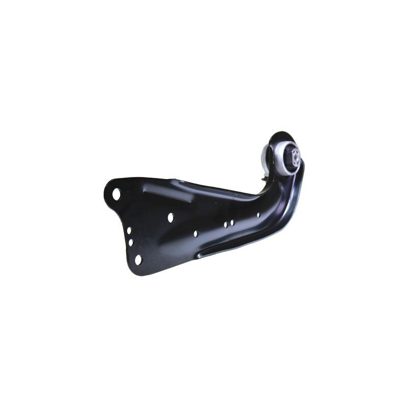 BIRTH Braccio oscillante, Sospensione ruota BS0096