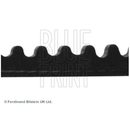 Blue Print Cinghia Ausiliaria Ad10V800