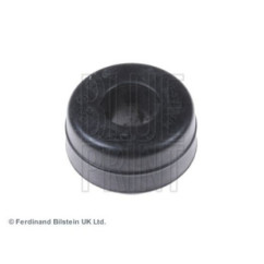 BLPRADT380169