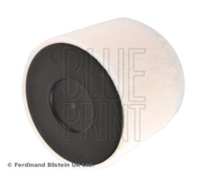 BLUE PRINT Filtro aria ADV182273