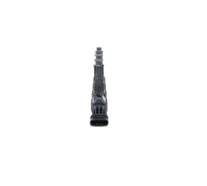 Bosch Unità Bobina D'Accensione 221503015