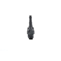 Bosch Unità Bobina D'Accensione 221503033