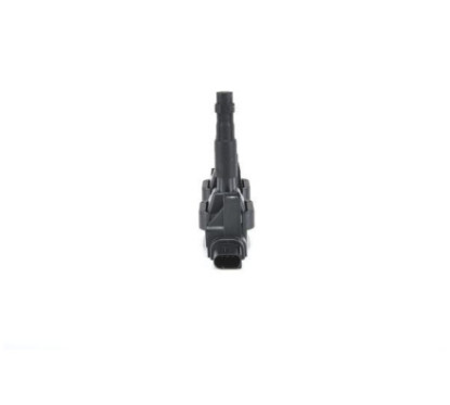 Bosch Unità Bobina D'Accensione 221503033