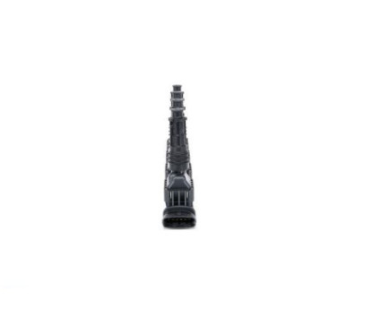 Bosch Unità Bobina D'Accensione 221503472