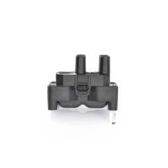 Bosch Bobina D'Accensione 221503485