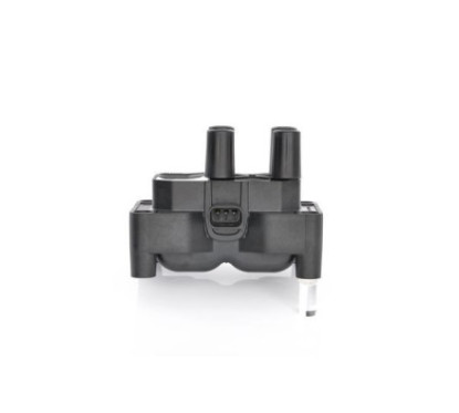 Bosch Bobina D'Accensione 221503485