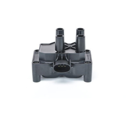 Bosch Bobina D'Accensione 221503490