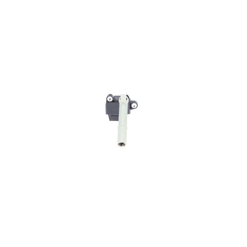Bosch Bobina D'Accensione 221504036