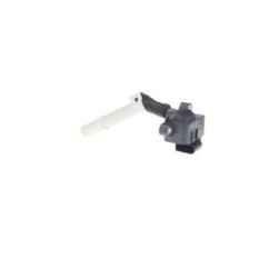 Bosch Bobina D'Accensione 221504036