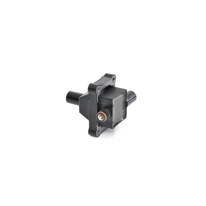 Bosch Bobina D'Accensione 221506002