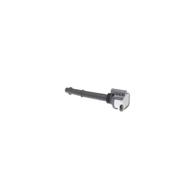 Bosch Bobina D'Accensione 221604036 Bosch Bobina D'Accensione 221604036