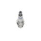 Bosch Candela 242225580