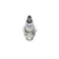 Bosch Candela 242225599