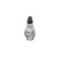 Bosch Candela 242229576