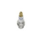 Bosch Candela 242229648