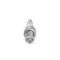 Bosch Candela 242229648