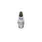Bosch Candela 242229652