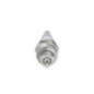 Bosch Candela 242229657