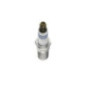 Candela D'Accensione Bosch 0242229785 Per Auto