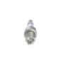 Bosch Candela 242229799