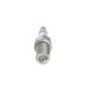 Bosch Candela 242230533