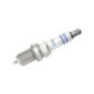 Bosch Candela 242230534