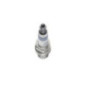Bosch Candela 242230534