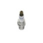 Bosch Candela 242230607