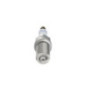 Bosch Candela 242230607