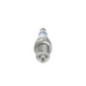 Bosch Candela 242232502
