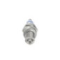 Bosch Candela 242232504