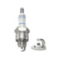Bosch Candela 242235665