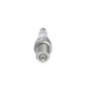 Bosch Candela 242235667